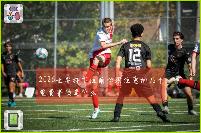 2026世界杯下注前必须注意的几个重要事项是什么