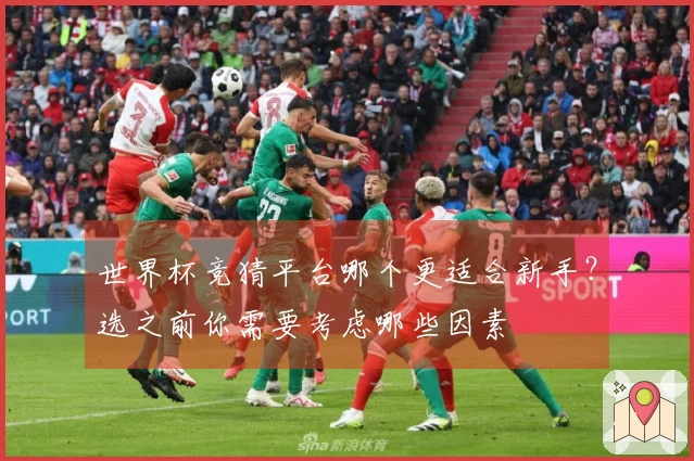 世界杯竞猜平台哪个更适合新手？选之前你需要考虑哪些因素
