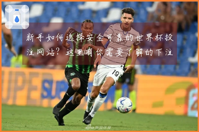 新手如何选择安全可靠的世界杯投注网站？这里有你需要了解的下注步骤和注意事项