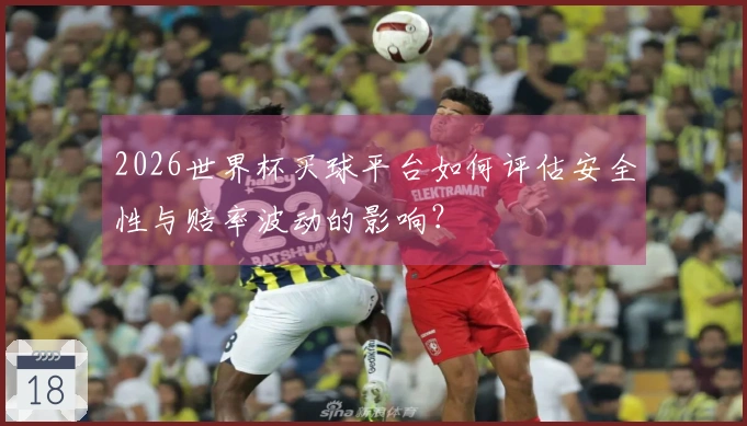 2026世界杯买球平台如何评估安全性与赔率波动的影响？