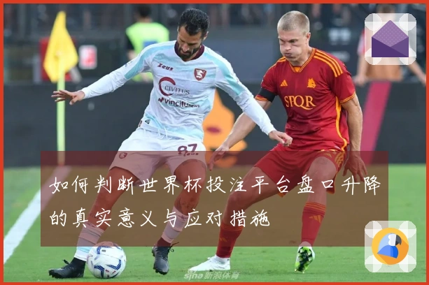 如何判断世界杯投注平台盘口升降的真实意义与应对措施