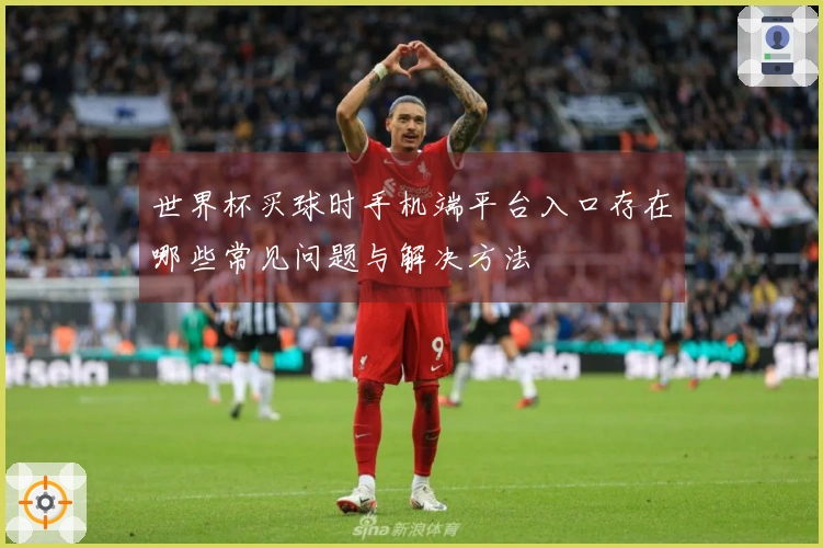 世界杯买球时手机端平台入口存在哪些常见问题与解决方法