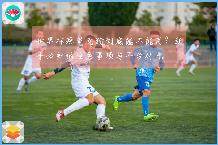 世界杯冠军竞猜到底能不能用？新手必知的注意事项与平台对比