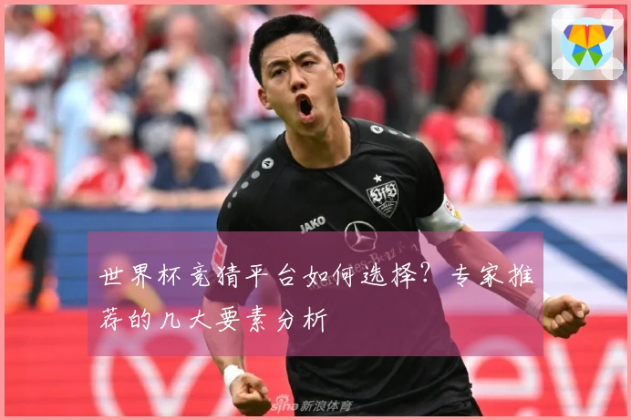 世界杯竞猜平台如何选择？专家推荐的几大要素分析
