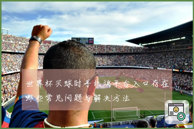 世界杯买球时手机端平台入口存在哪些常见问题与解决方法