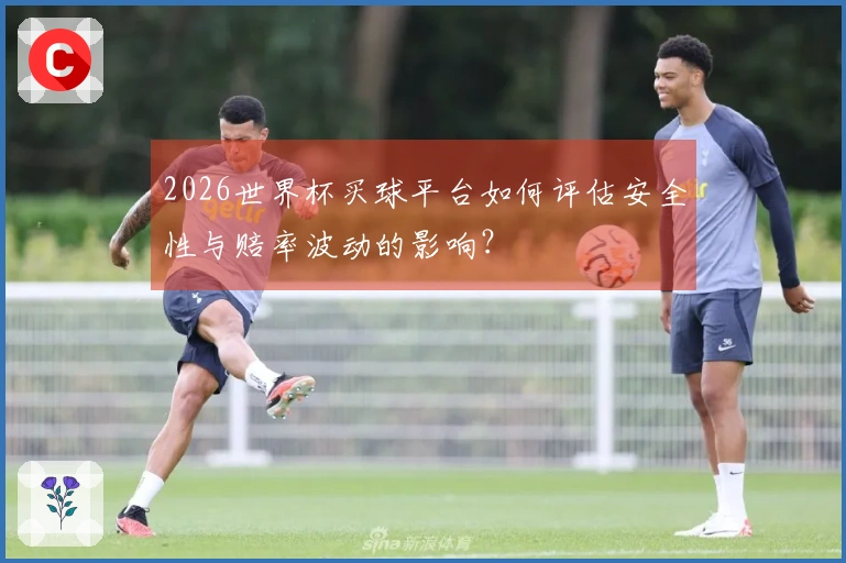 2026世界杯买球平台如何评估安全性与赔率波动的影响？