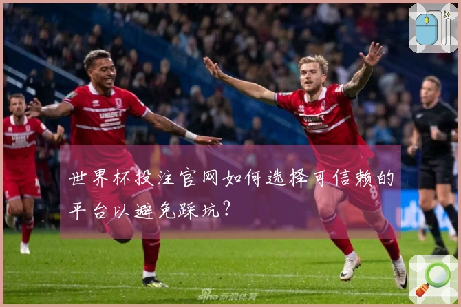 世界杯投注官网如何选择可信赖的平台以避免踩坑？