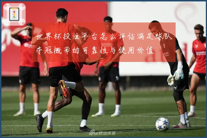 世界杯投注平台怎么评估满足球队夺冠概率的可靠性与使用价值