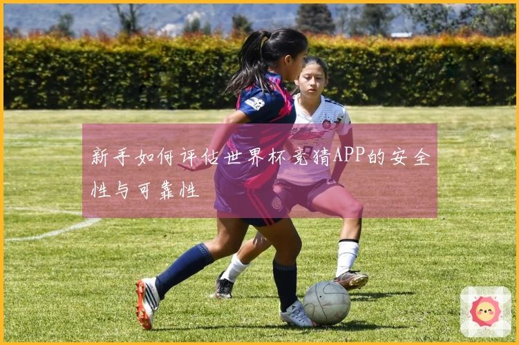新手如何评估世界杯竞猜APP的安全性与可靠性