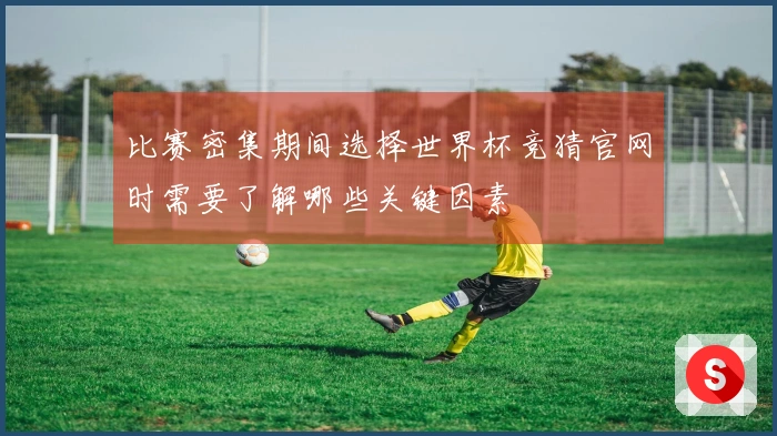 比赛密集期间选择世界杯竞猜官网时需要了解哪些关键因素
