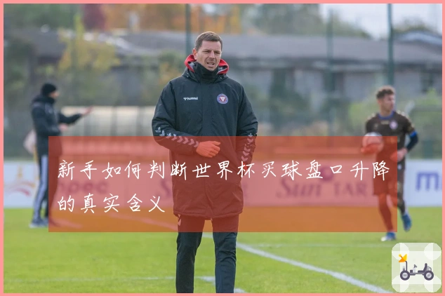 新手如何判断世界杯买球盘口升降的真实含义