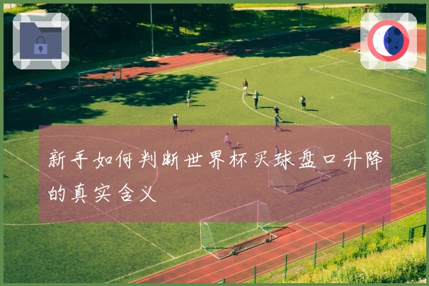 新手如何判断世界杯买球盘口升降的真实含义