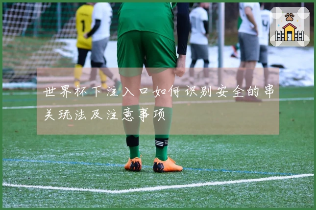 世界杯下注入口如何识别安全的串关玩法及注意事项