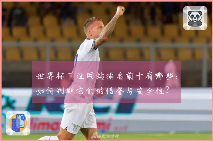 世界杯下注网站排名前十有哪些，如何判断它们的信誉与安全性？