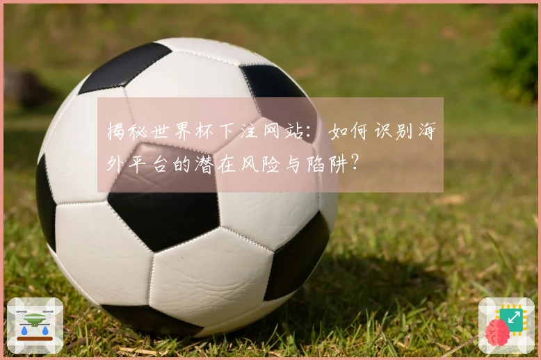 揭秘世界杯下注网站：如何识别海外平台的潜在风险与陷阱？