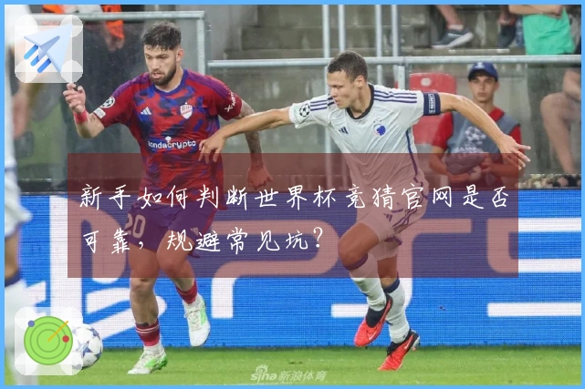 新手如何判断世界杯竞猜官网是否可靠，规避常见坑？