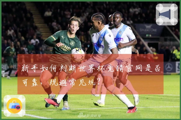 新手如何判断世界杯竞猜官网是否可靠，规避常见坑？