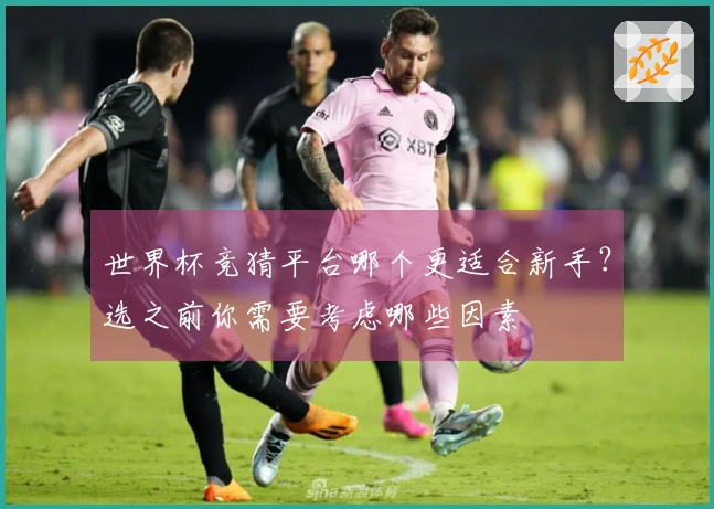 世界杯竞猜平台哪个更适合新手？选之前你需要考虑哪些因素