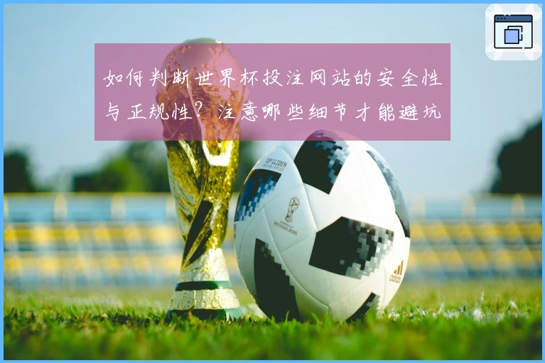 如何判断世界杯投注网站的安全性与正规性？注意哪些细节才能避坑？